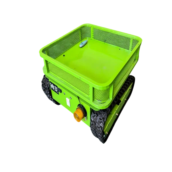 remote control follow car