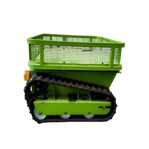 import placeholder for 8161