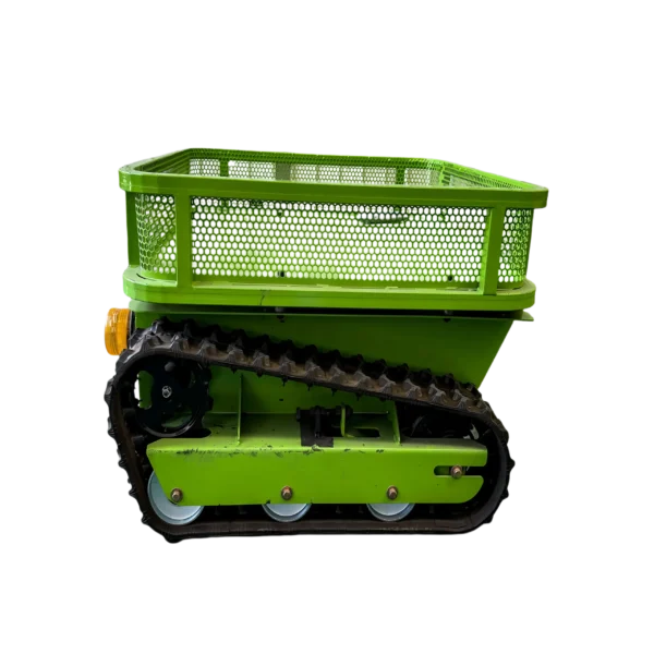 import placeholder for 8161